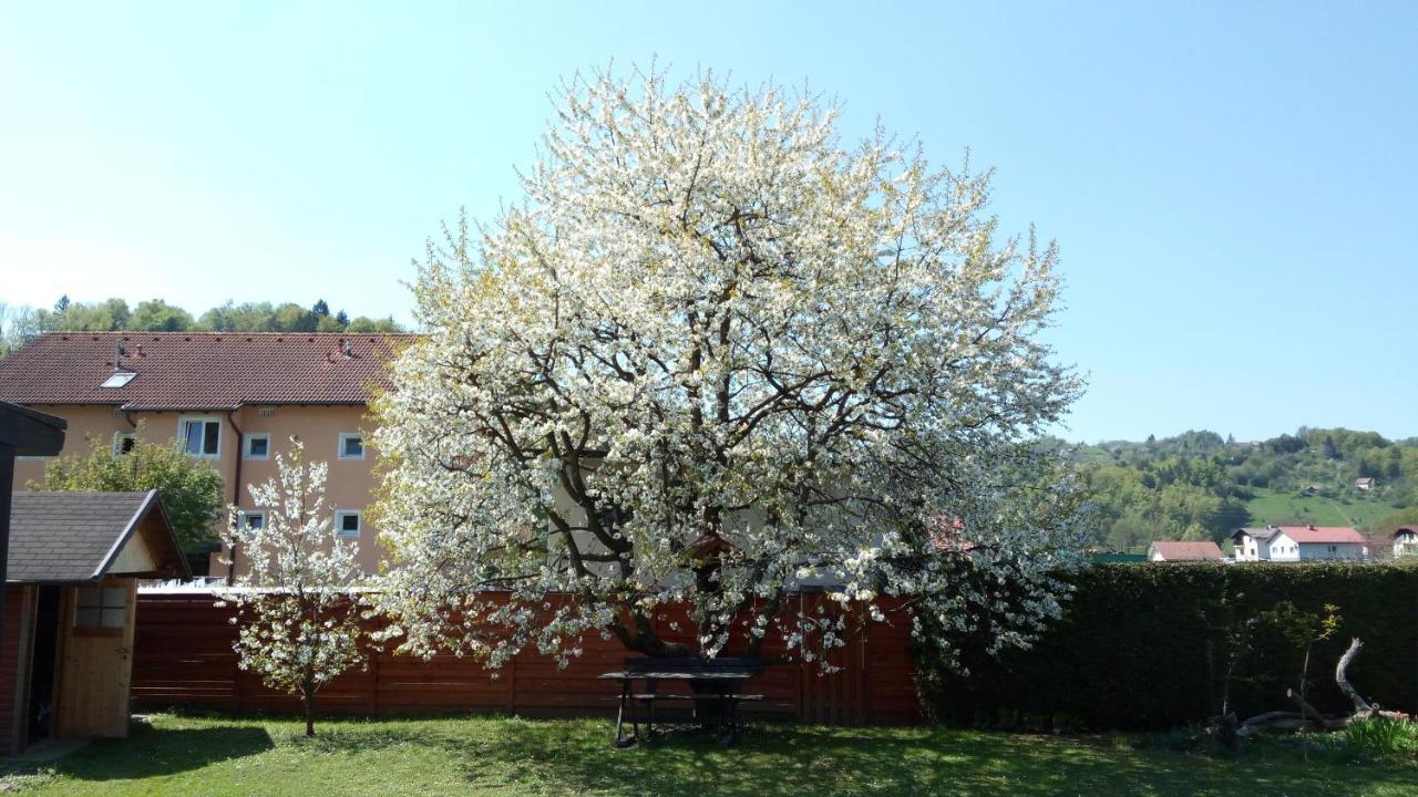 Apartma Golob Zgornja Kungota Buitenkant foto